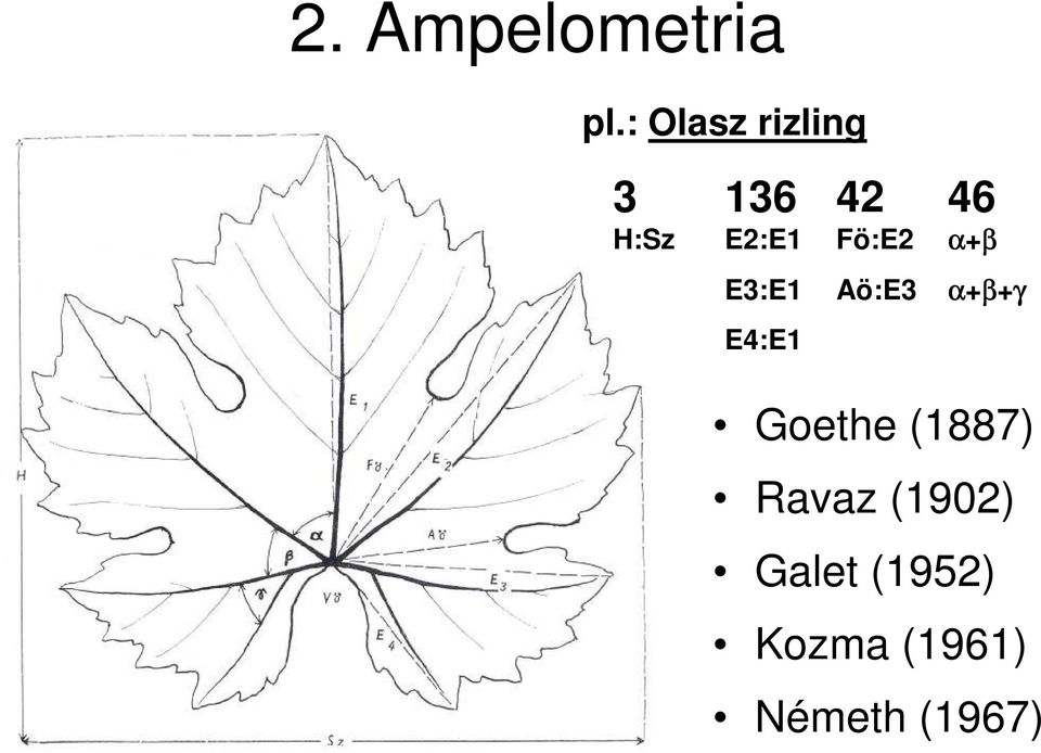 Fö:E2 α+β E3:E1 Aö:E3 α+β+γ E4:E1