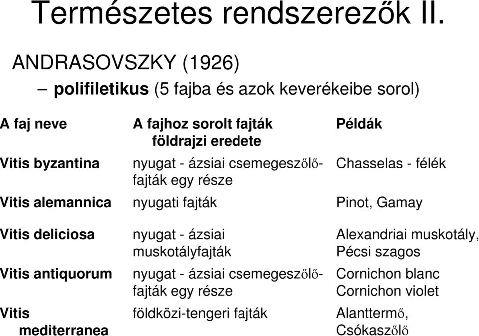 Vitis antiquorum Vitis mediterranea A fajhoz sorolt fajták földrajzi eredete nyugat - ázsiai csemegeszılıfajták egy része nyugati