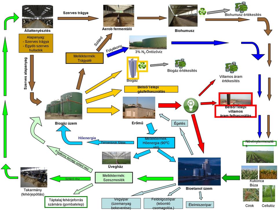 Biogáz üzem Erőmű Égetés Hőenergia Melléktermék: Hőenergia (90 0 C víz) Növénytermeszté s Üvegház Takarmány (fehérjepótlás) Szilárd rész Táptalaj fehérjeforrás