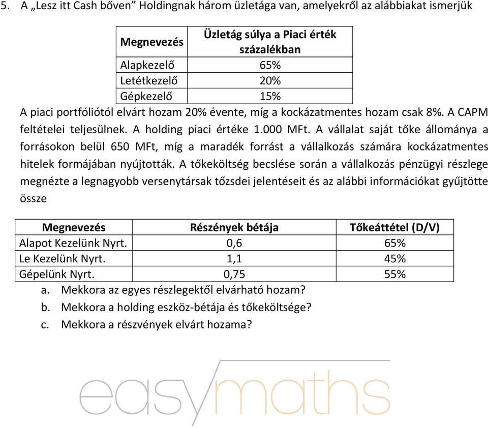 A vállalat saját tőke állománya a forrásokon belül 650 MFt, míg a maradék forrást a vállalkozás számára kockázatmentes hitelek formájában nyújtották.