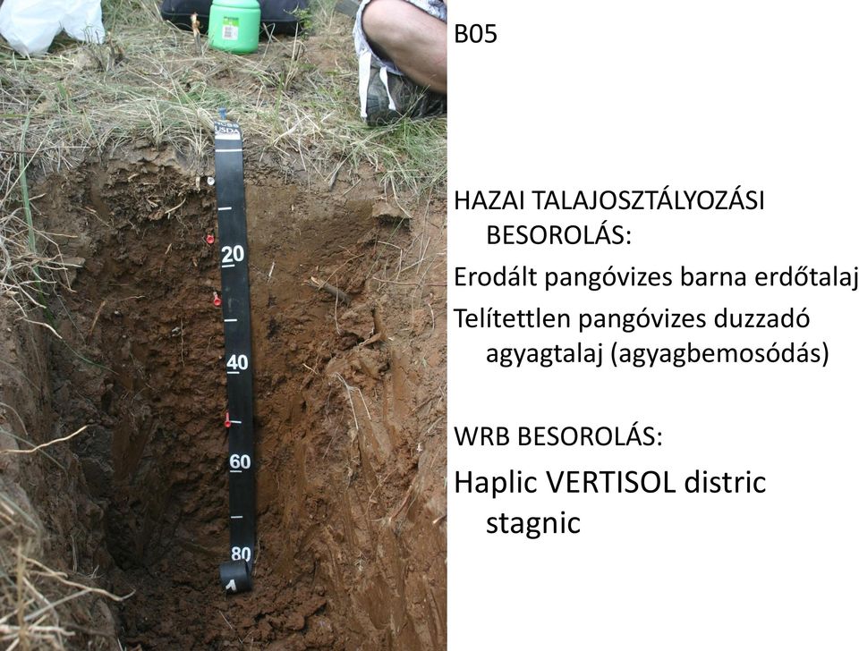 Telítettlen pangóvizes duzzadó agyagtalaj