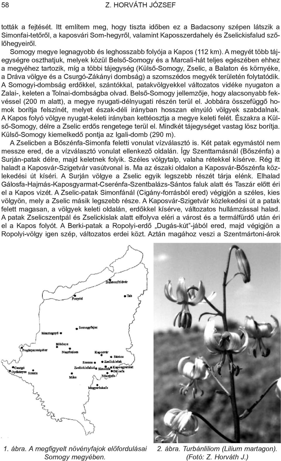 A megyét több tájegységre oszthatjuk, melyek közül Belsõ-Somogy és a Marcali-hát teljes egészében ehhez a megyéhez tartozik, míg a többi tájegység (Külsõ-Somogy, Zselic, a Balaton és környéke, a