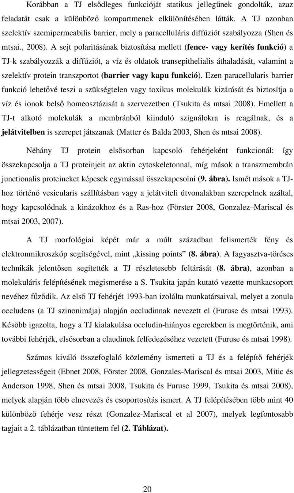 A sejt polaritásának biztosítása mellett (fence- vagy kerítés funkció) a TJ-k szabályozzák a diffúziót, a víz és oldatok transepithelialis áthaladását, valamint a szelektív protein transzportot