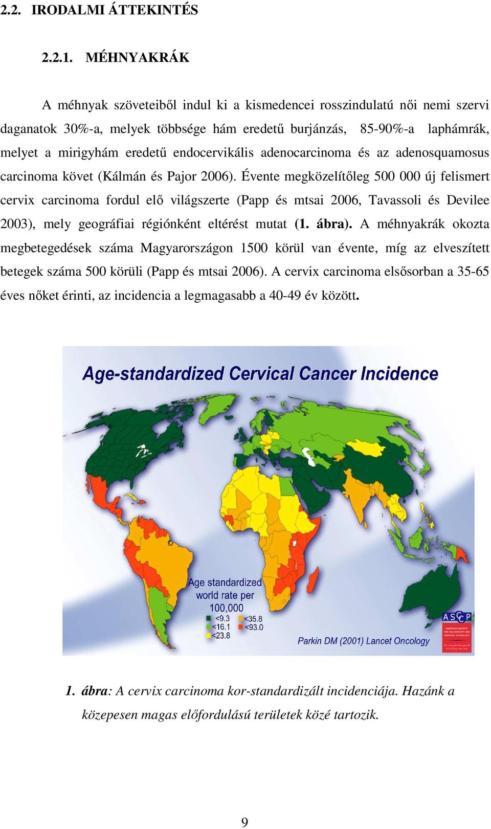 endocervikális adenocarcinoma és az adenosquamosus carcinoma követ (Kálmán és Pajor 2006).