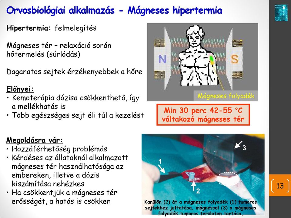 Megoldásra vár: Hozzáférhetőség problémás Kérdéses az állatoknál alkalmazott mágneses tér használhatósága az embereken, illetve a dózis kiszámítása nehézkes Ha