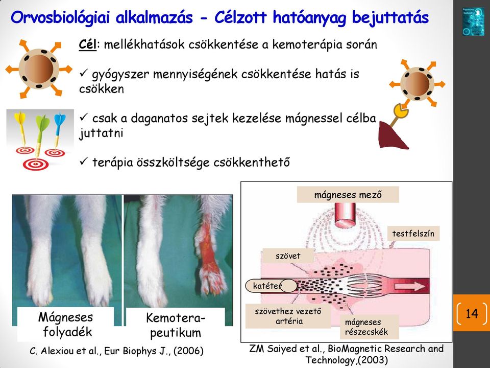 összköltsége csökkenthető mágneses mező szövet testfelszín katéter Mágneses folyadék Kemoterapeutikum C. Alexiou et al.