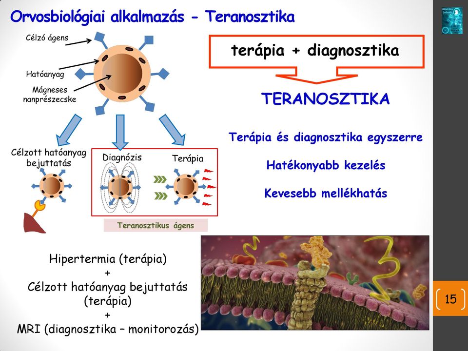 Hatékonyabb kezelés Kevesebb mellékhatás Hipertermia (terápia)