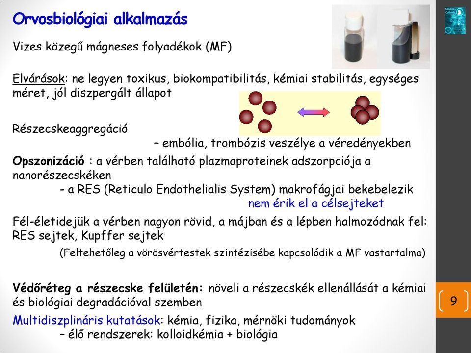 el a célsejteket Fél-életidejük a vérben nagyon rövid, a májban és a lépben halmozódnak fel: RES sejtek, Kupffer sejtek (Feltehetőleg a vörösvértestek szintézisébe kapcsolódik a MF vastartalma)