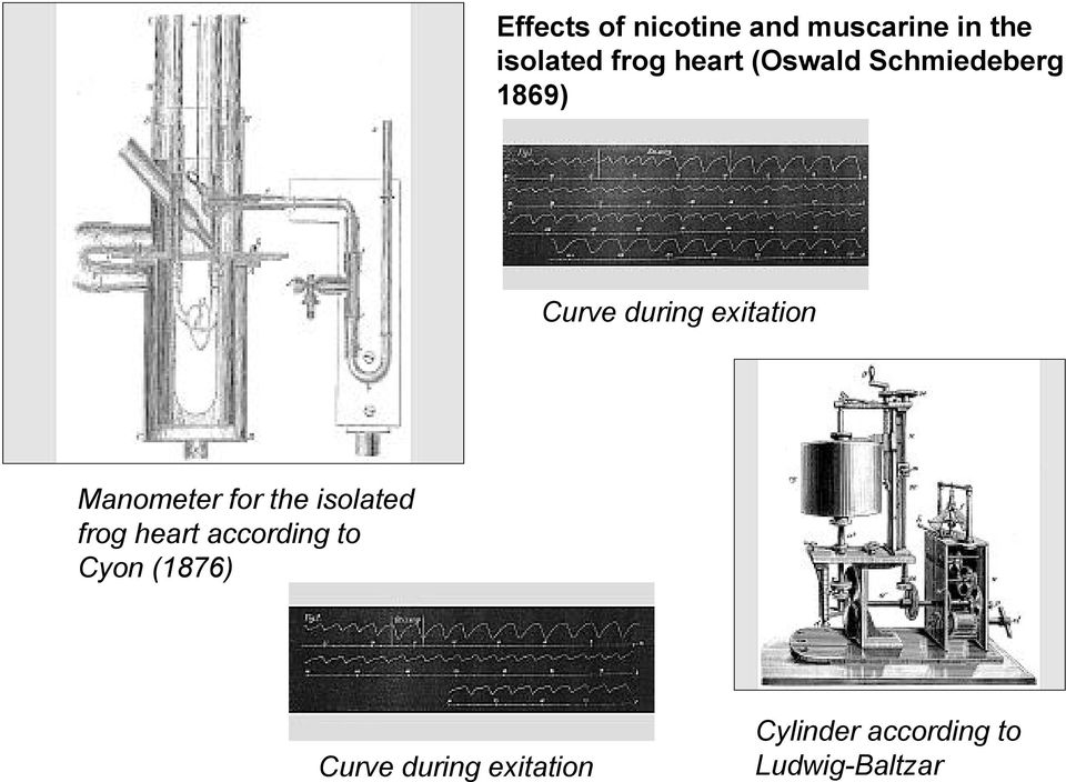 Manometer for the isolated frog heart according to Cyon