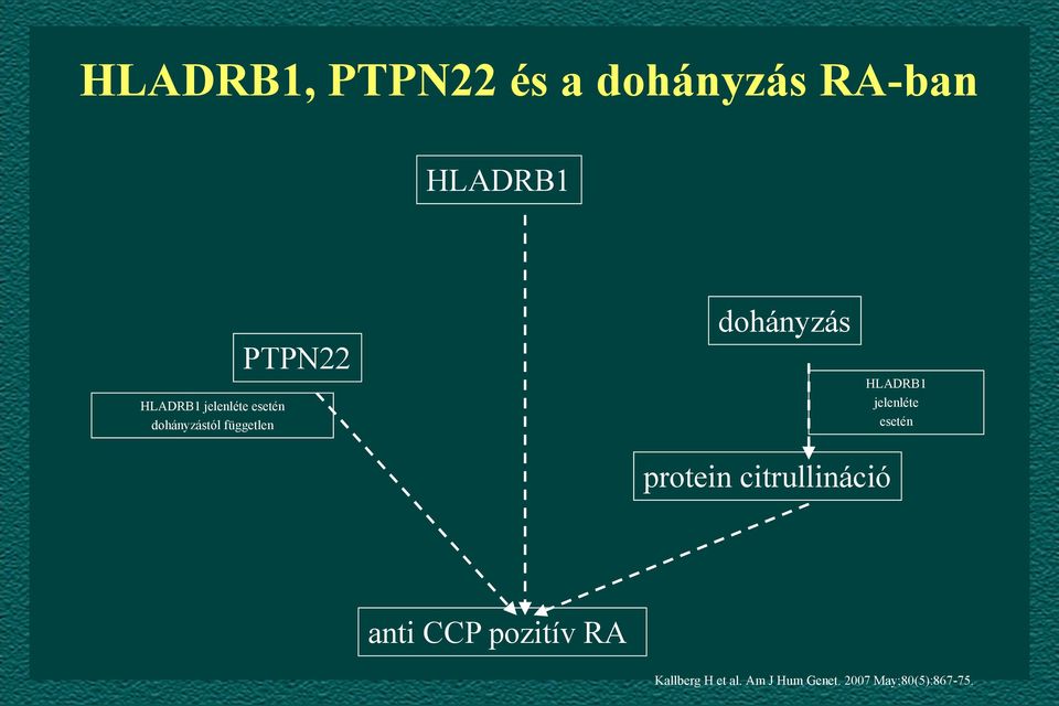 HLADRB1 jelenléte esetén protein citrullináció anti CCP