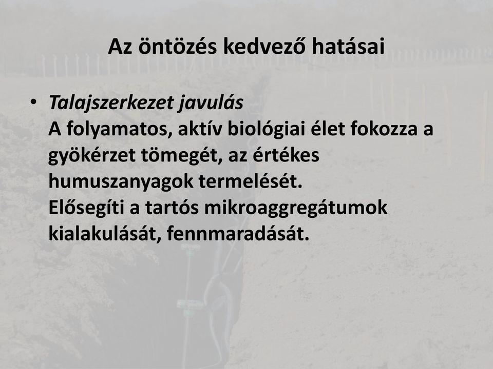 tömegét, az értékes humuszanyagok termelését.