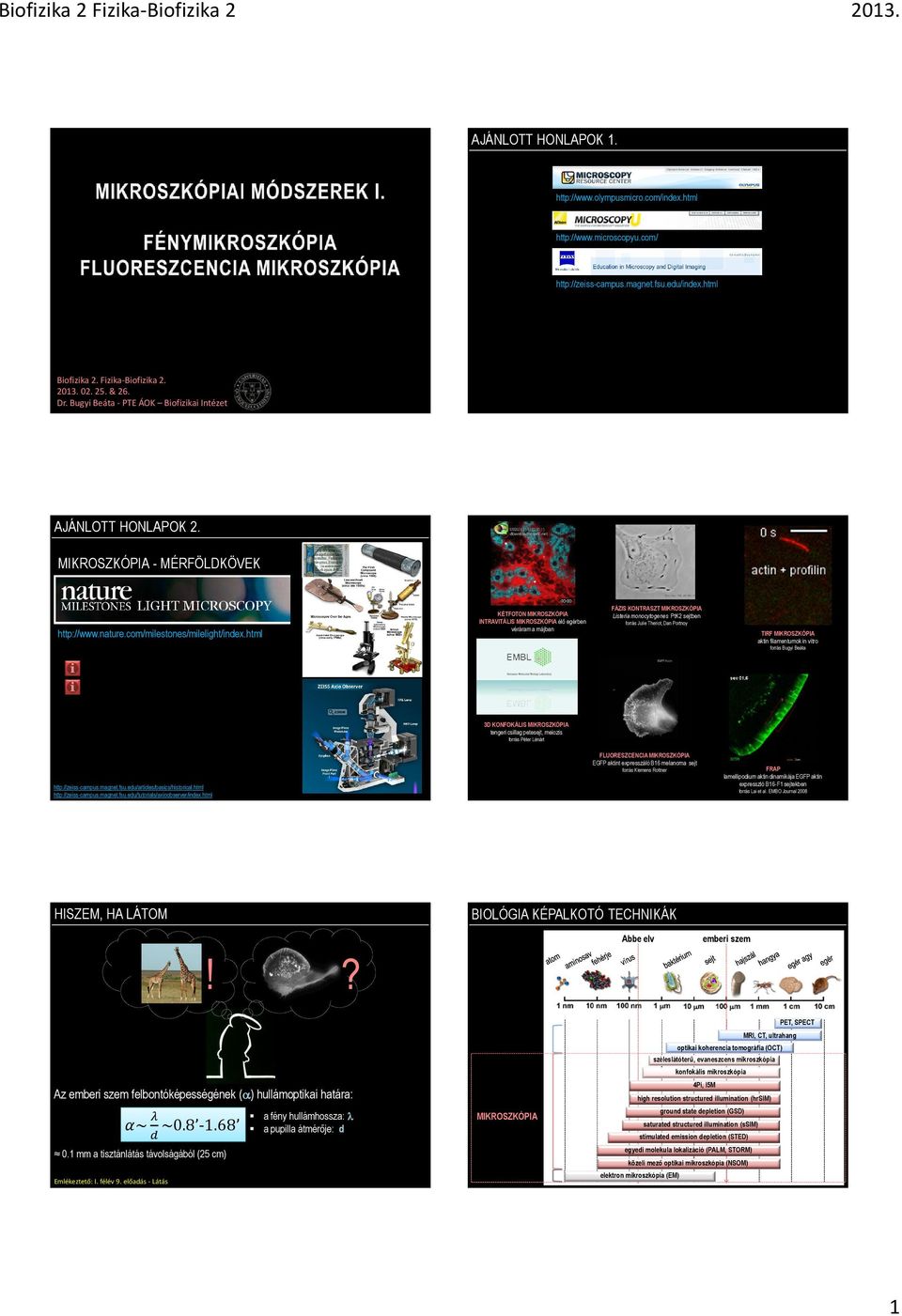 html KÉTFOTON MIKROSZKÓPIA INTRAVITÁLIS MIKROSZKÓPIA élı egérben véráram a májban FÁZIS KONTRASZT MIKROSZKÓPIA Listeria monocytogenes PtK2 sejtben forrás Julie Theriot, Dan Portnoy TIRF MIKROSZKÓPIA