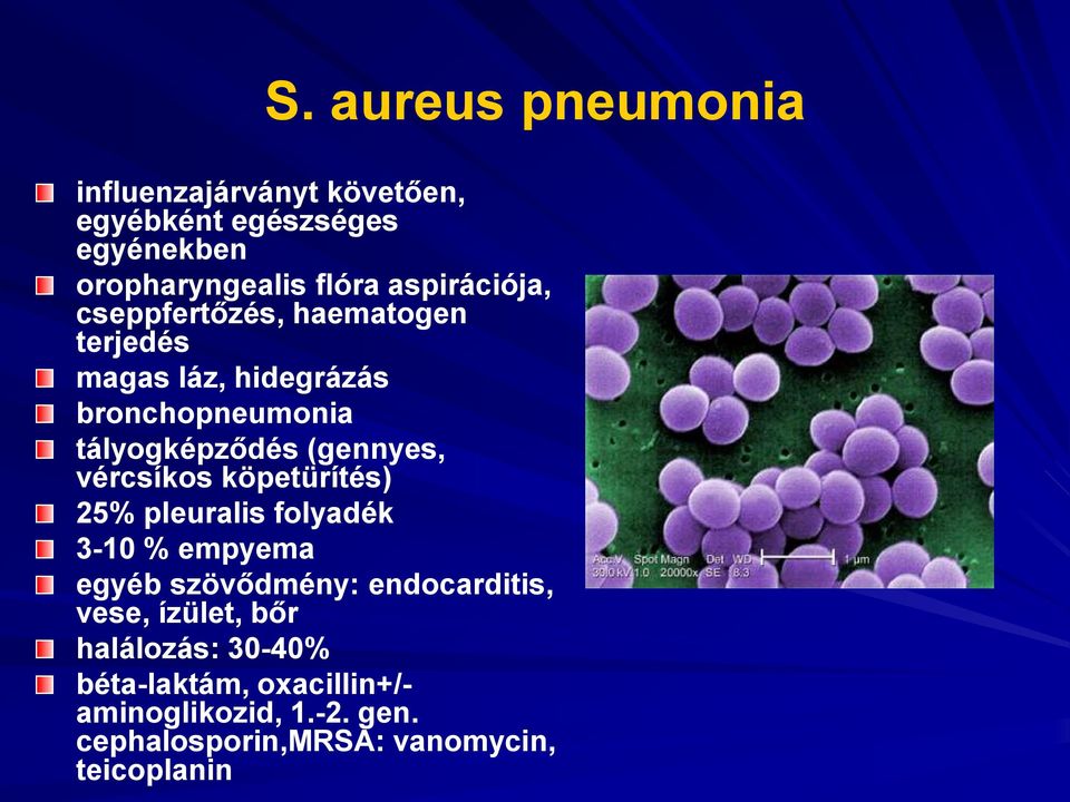 (gennyes, vércsíkos köpetürítés) 25% pleuralis folyadék 3-10 % empyema egyéb szövődmény: endocarditis, vese,