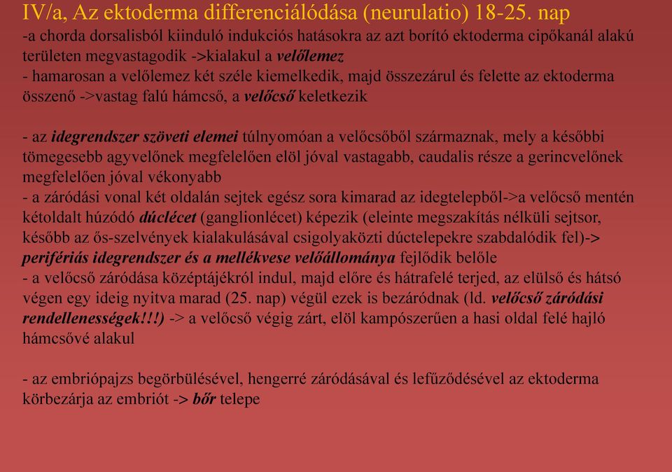 összezárul és felette az ektoderma összenő ->vastag falú hámcső, a velőcső keletkezik - az idegrendszer szöveti elemei túlnyomóan a velőcsőből származnak, mely a későbbi tömegesebb agyvelőnek