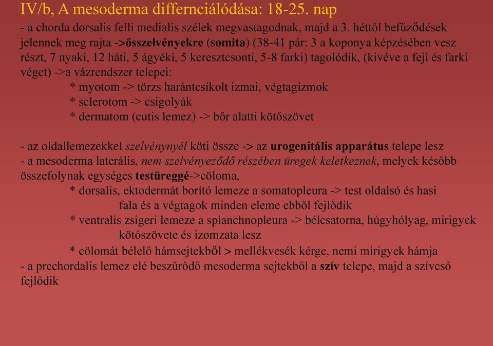 farki véget) ->a vázrendszer telepei: * myotom -> törzs harántcsíkolt izmai, végtagizmok * sclerotom -> csigolyák * dermatom (cutis lemez) -> bőr alatti kötőszövet - az oldallemezekkel szelvénynyél