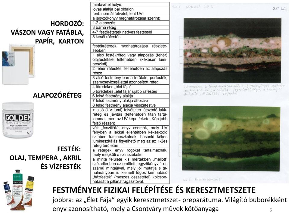 KERESZTMETSZETE jobbra: az Élet Fája egyik keresztmetszet-