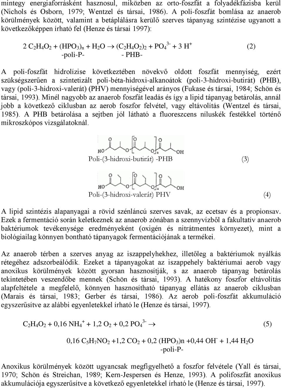 n + H 2 O (C 2 H 4 O 2 ) 2 + PO 3-4 + 3 H + (2) -poli-p- - PHB- A poli-foszfát hidrolízise következtében növekvő oldott foszfát mennyiség, ezért szükségszerűen a szintetizált