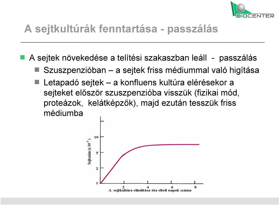 higítása Letapadó sejtek a konfluens kultúra elérésekor a sejteket először