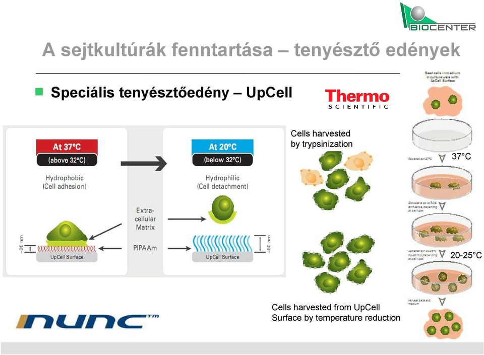 harvested by trypsinization 37 C 20-25 C