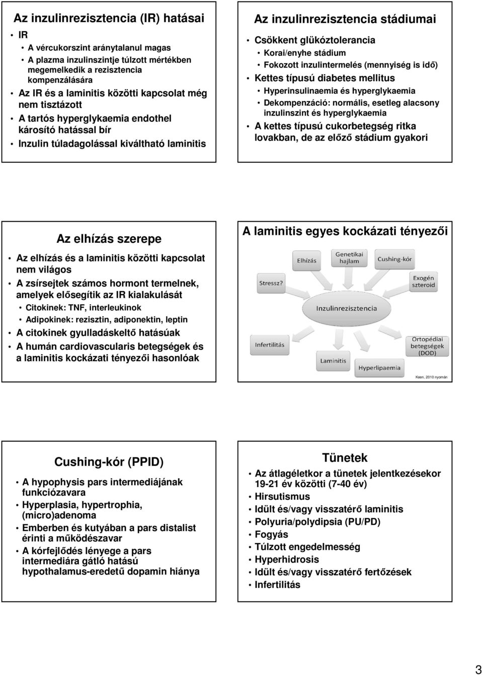 Fokozott inzulintermelés (mennyiség is idő) Kettes típusú diabetes mellitus Hyperinsulinaemia és hyperglykaemia Dekompenzáció: normális, esetleg alacsony inzulinszint és hyperglykaemia A kettes