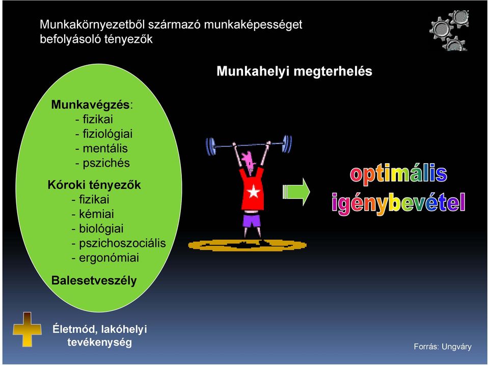 tényezők - fizikai -kémiai - biológiai - pszichoszociális - ergonómiai