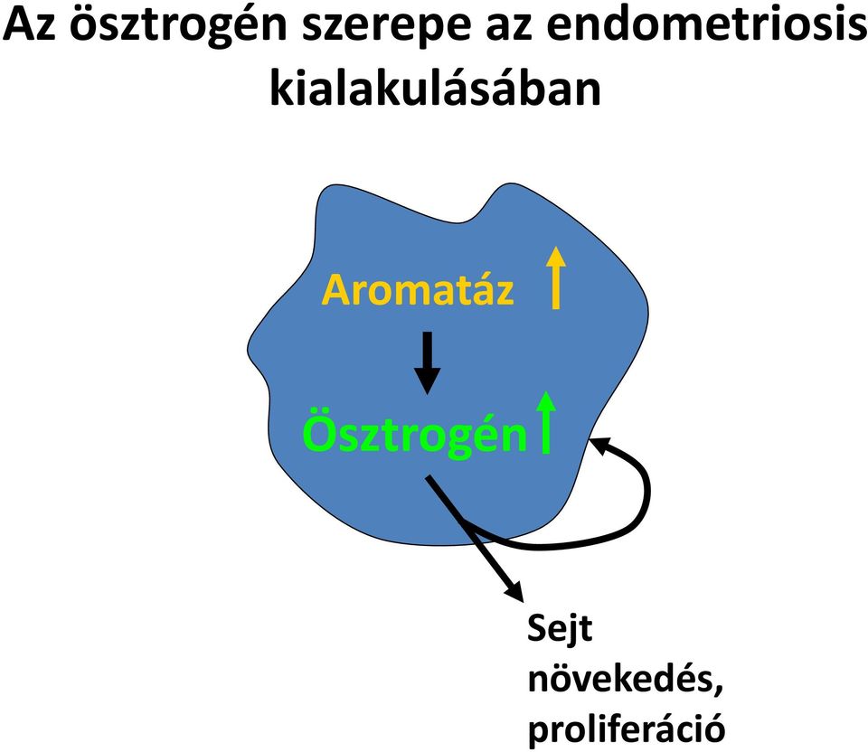 kialakulásában Aromatáz