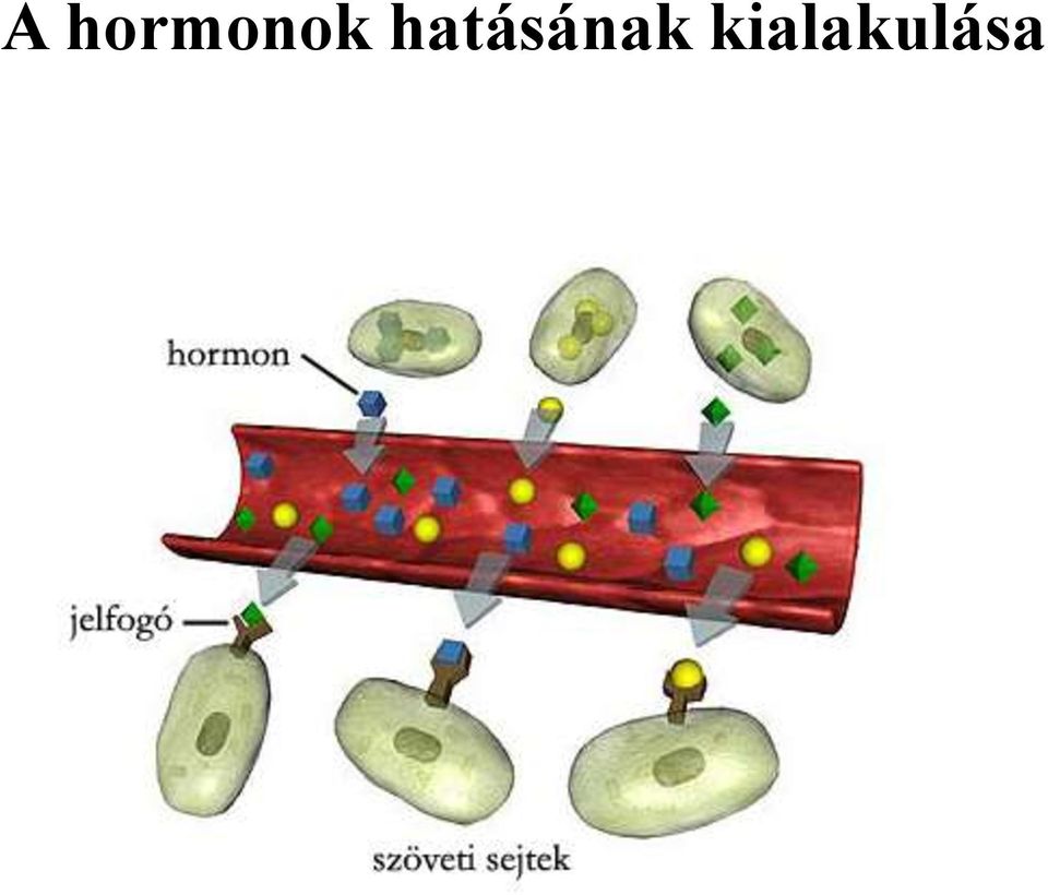 hatásának