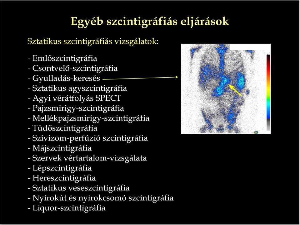 Mellékpajzsmirigy-szcintigráfia -Tüdőszcintigráfia - Szívizom-perfúzió szcintigráfia - Májszcintigráfia - Szervek