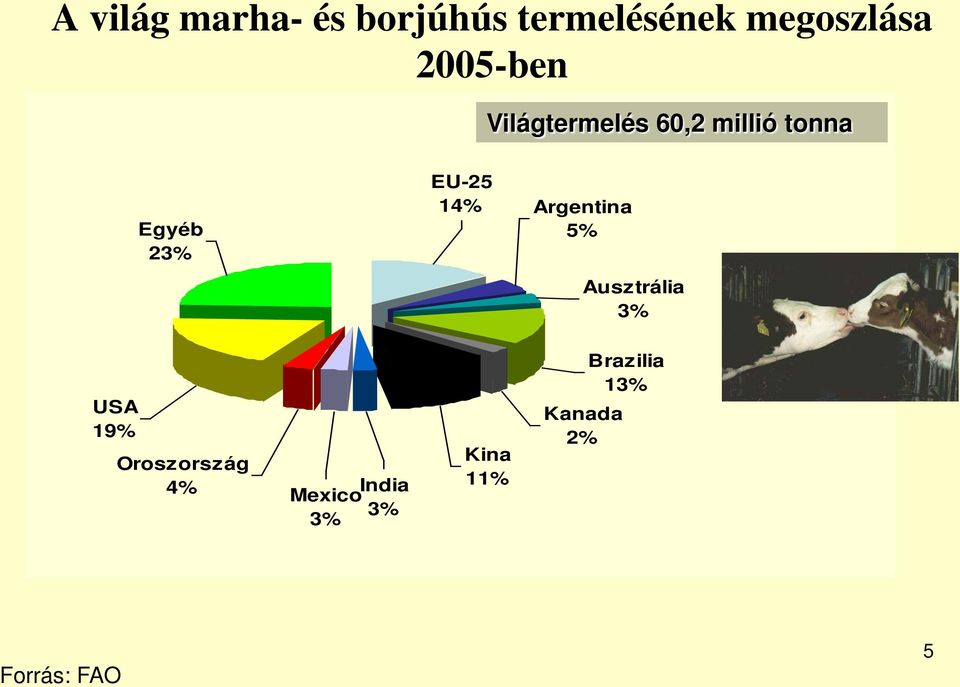 14% Argentina 5% Ausztrália 3% USA 19% Oroszország 4%