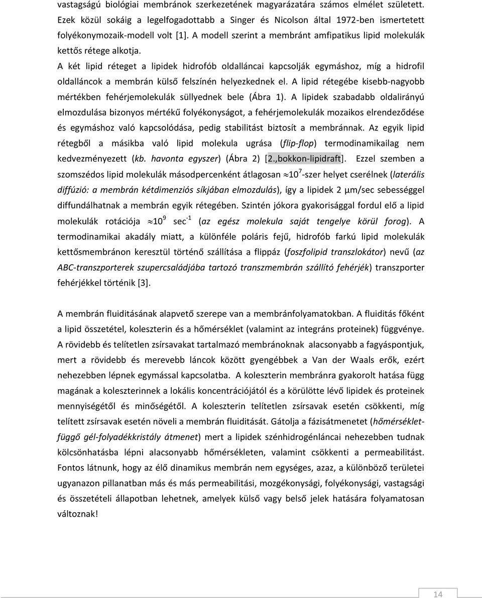 A két lipid réteget a lipidek hidrofób oldalláncai kapcsolják egymáshoz, míg a hidrofil oldalláncok a membrán külső felszínén helyezkednek el.