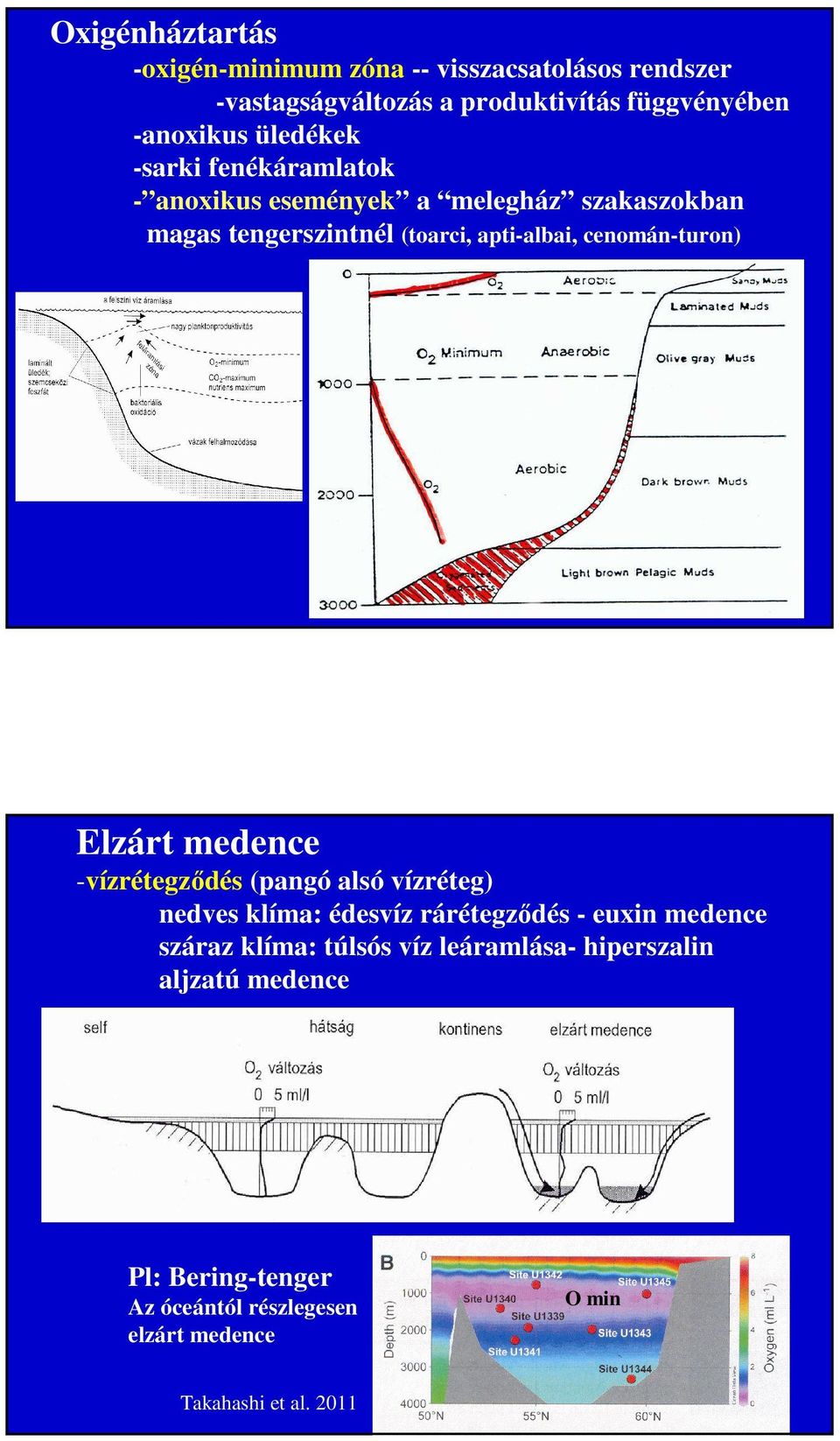 cenomán-turon) Elzárt medence -vízrétegződés (pangó alsó vízréteg) nedves klíma: édesvíz rárétegződés - euxin medence száraz