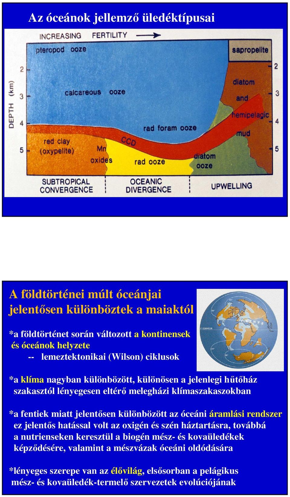 jelentősen különbözött az óceáni áramlási rendszer ez jelentős hatással volt az oxigén és szén háztartásra, továbbá a nutrienseken keresztül a biogén mész- és