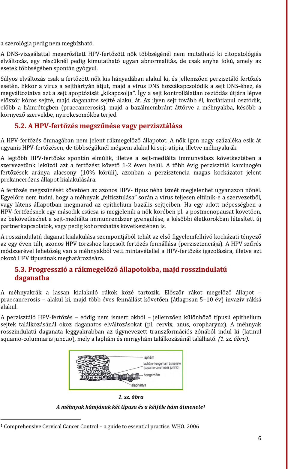 többségében spontán gyógyul. Súlyos elváltozás csak a fertőzött nők kis hányadában alakul ki, és jellemzően perzisztáló fertőzés esetén.