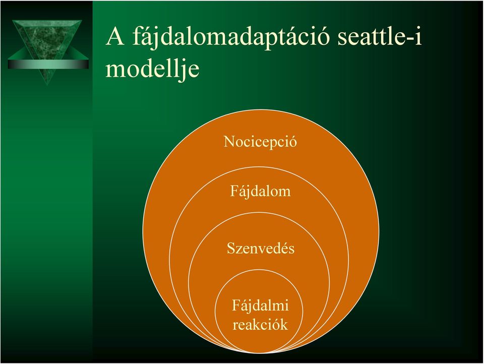 Nocicepció Fájdalom