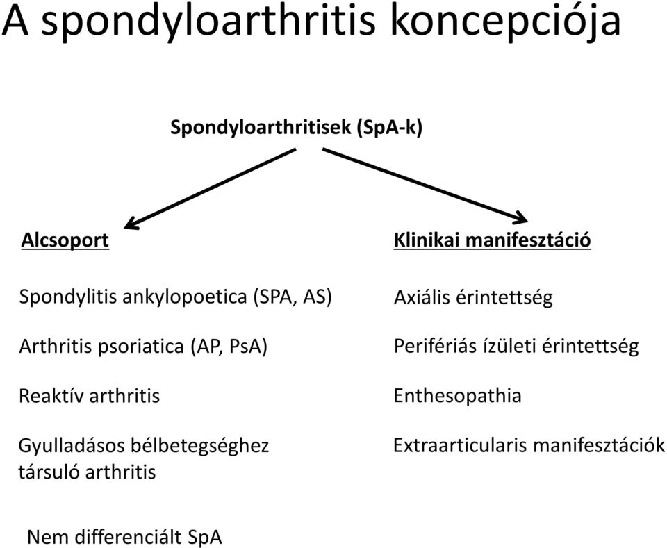 bélbetegséghez társuló arthritis Klinikai manifesztáció Axiális érintettség