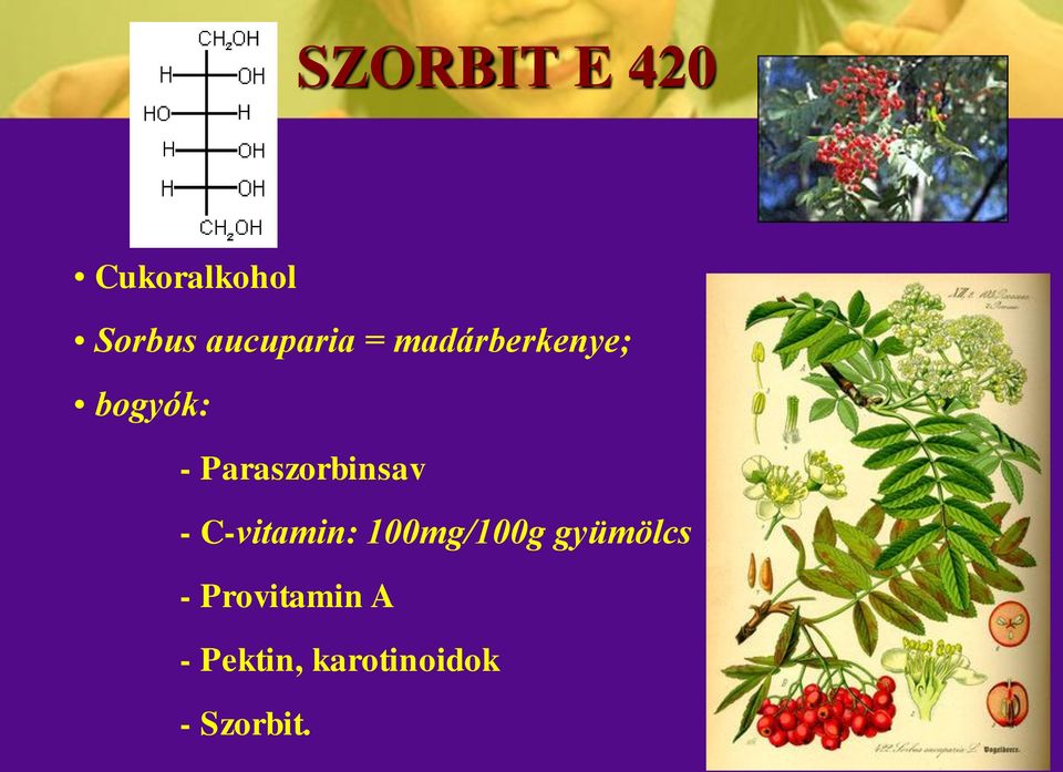 Paraszorbinsav - C-vitamin: 100mg/100g