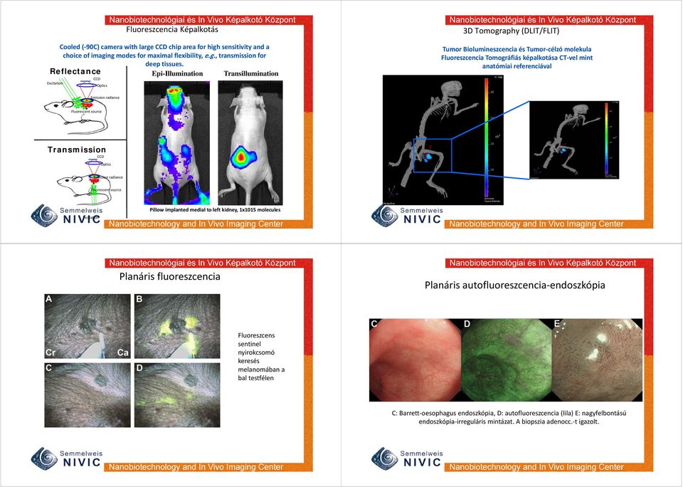 anatómiai referenciával c Emission radiance Fluorescent source Transmission CCD Optics Emission radiance Fluorescent source Excitation Pillow implanted medial to left kidney, 1x1015 molecules