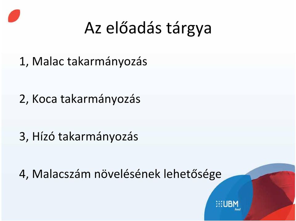 takarmányozás 3, Hízó