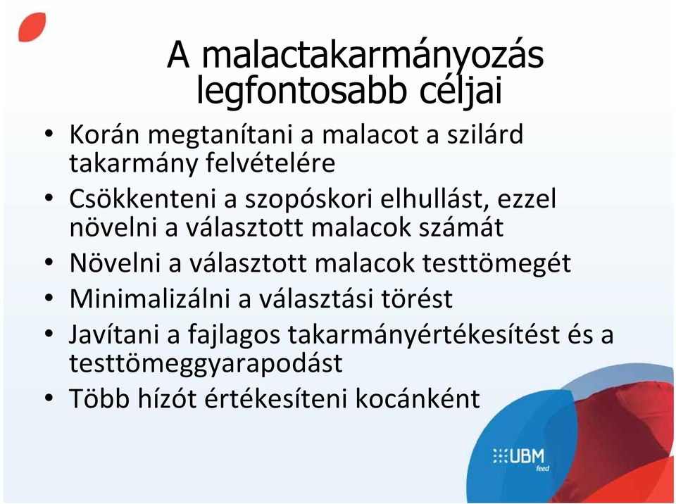 számát Növelni a választott malacok testtömegét Minimalizálni a választási törést