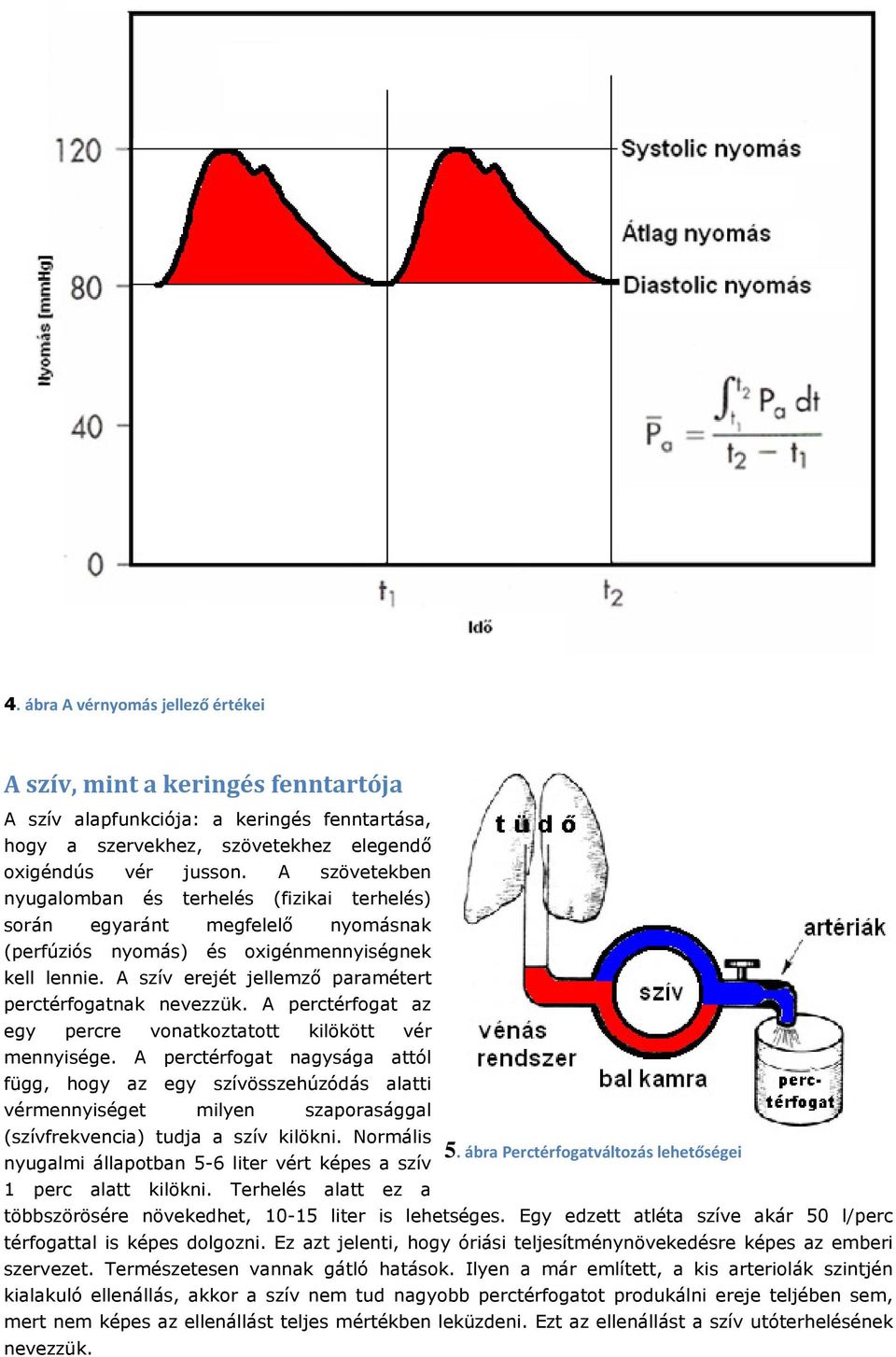 A szív erejét jellemző paramétert perctérfogatnak nevezzük. A perctérfogat az egy percre vonatkoztatott kilökött vér mennyisége.