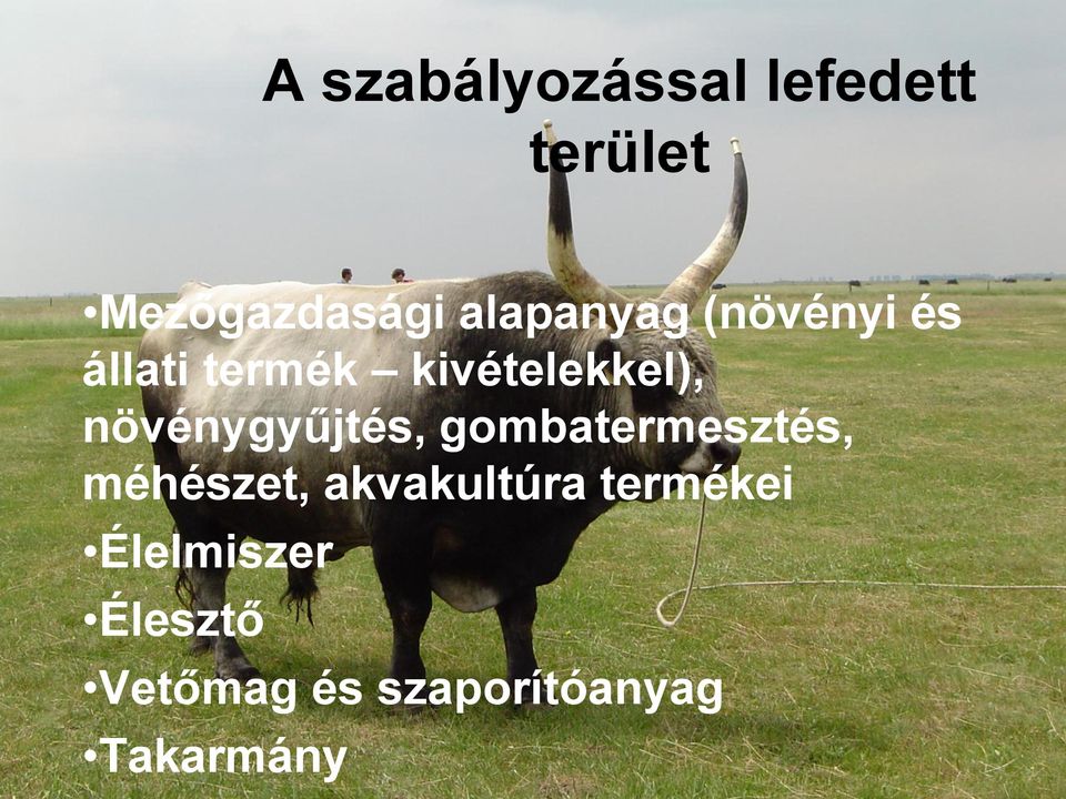 növénygyűjtés, gombatermesztés, méhészet, akvakultúra