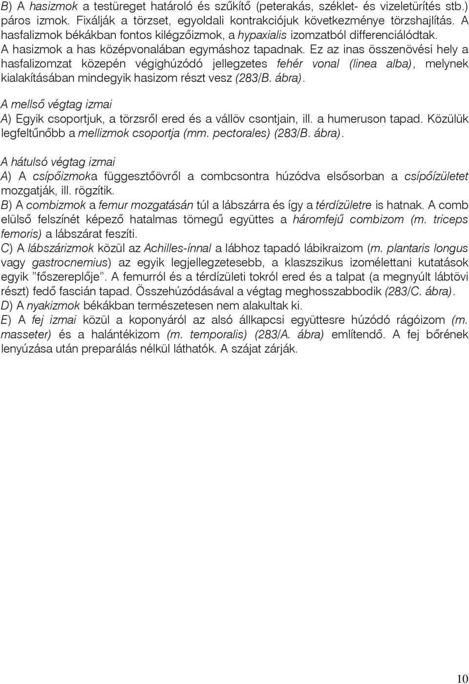 Ez az inas összenövési hely a hasfalizomzat közepén végighúzódó jellegzetes fehér vonal (linea alba), melynek kialakításában mindegyik hasizom részt vesz (283/B. ábra).