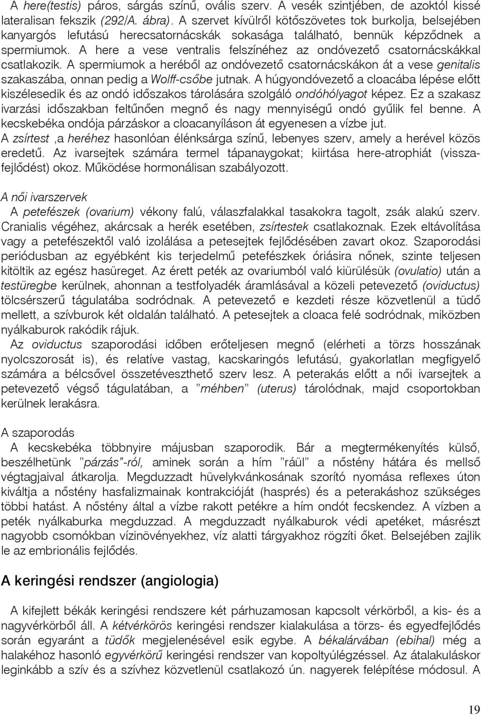 A here a vese ventralis felszínéhez az ondóvezetõ csatornácskákkal csatlakozik. A spermiumok a herébôl az ondóvezetô csatornácskákon át a vese genitalis szakaszába, onnan pedig a Wolff-csôbe jutnak.