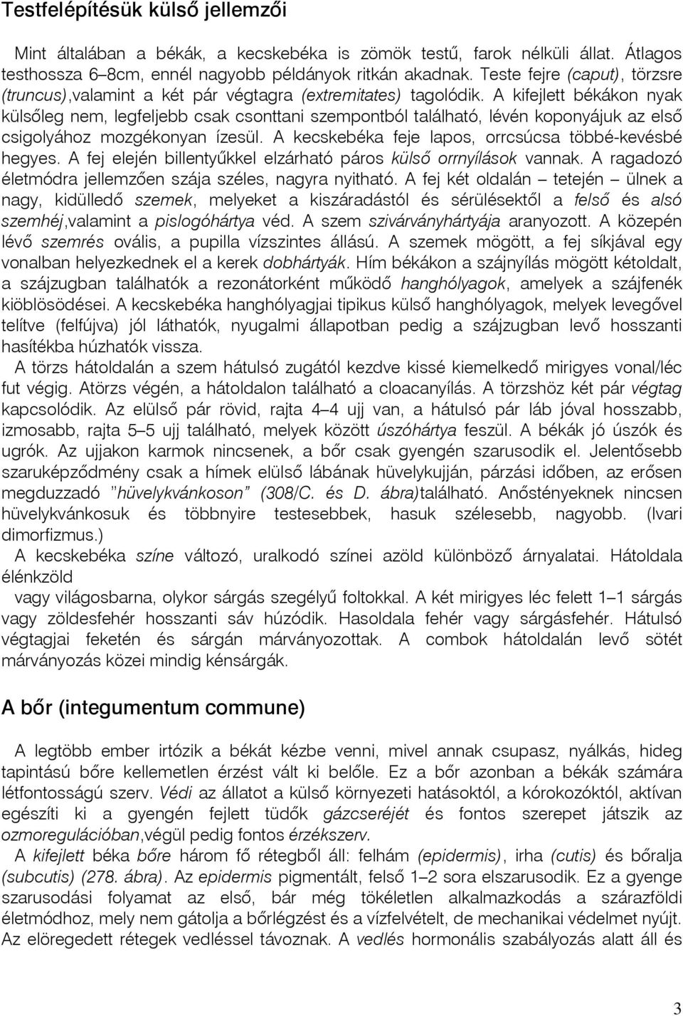 A kifejlett békákon nyak külsôleg nem, legfeljebb csak csonttani szempontból található, lévén koponyájuk az elsô csigolyához mozgékonyan ízesül.