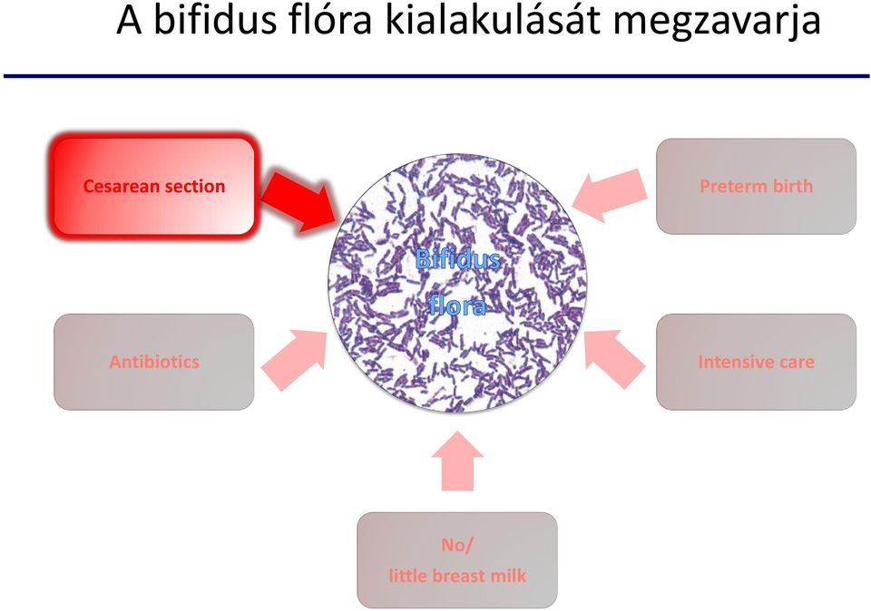 Preterm birth Antibiotics