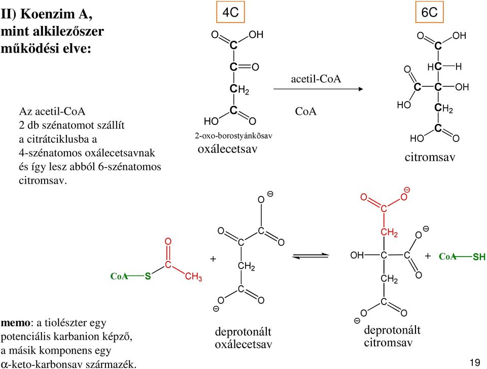 és így lesz abból 6-szénatomos citromsav.