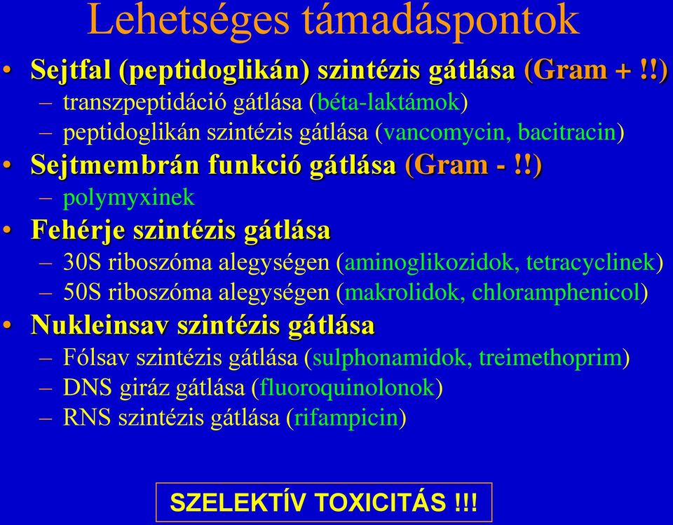 !) polymyxinek Fehérje szintézis gátlása 30S riboszóma alegységen (aminoglikozidok, tetracyclinek) 50S riboszóma alegységen (makrolidok,