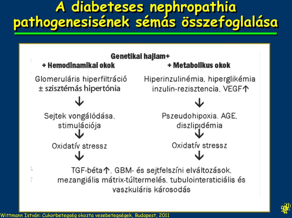 összefoglalása Wittmann István: