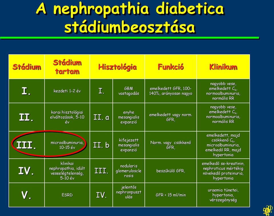 a enyhe mesangialis expanzió emelkedett vagy norm. GFR, nagyobb vese, emelkedett C k, normoalbuminuria, normális RR III. microalbuminuria, 10-15 év II. b kifejezett mesangialis expanzió Norm.