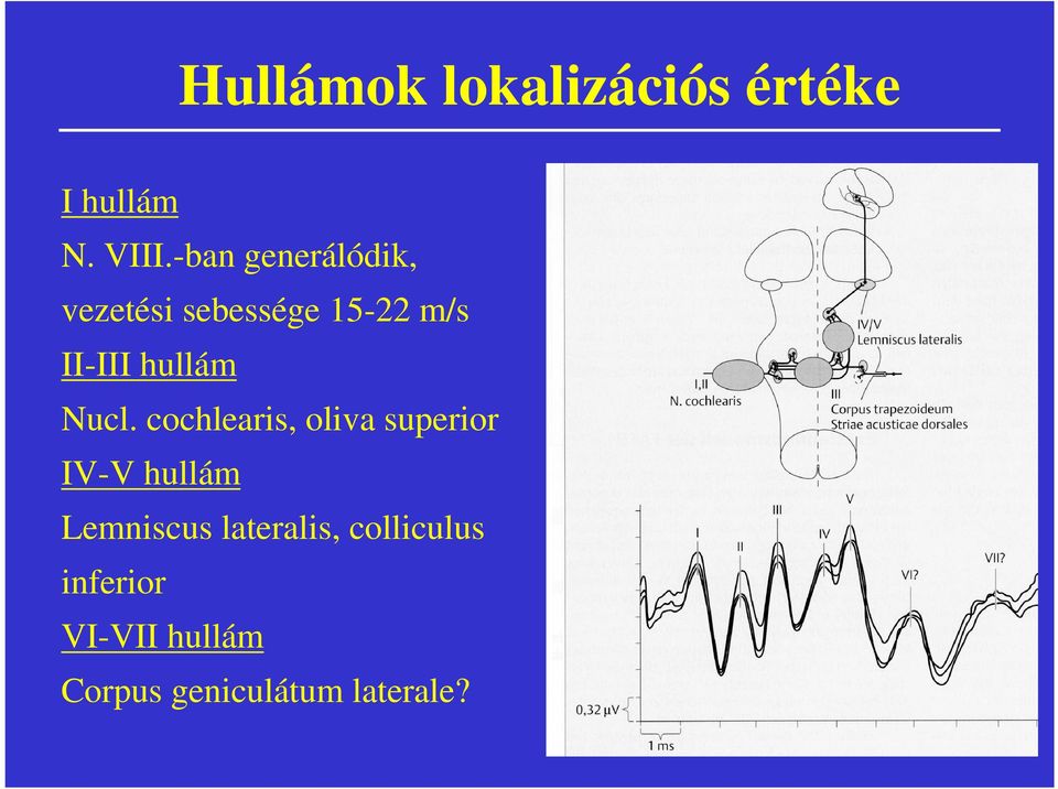 hullám Nucl.